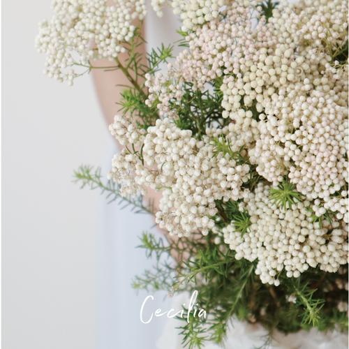 cecilia小米花鲜切天然干花小清新花束居家装饰云南基地鲜花速递同城