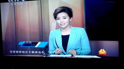 周雪梅——《走遍中国》演播室主持人