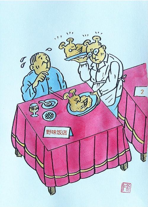 拒绝食用野味英语手抄报趣味英语手抄报