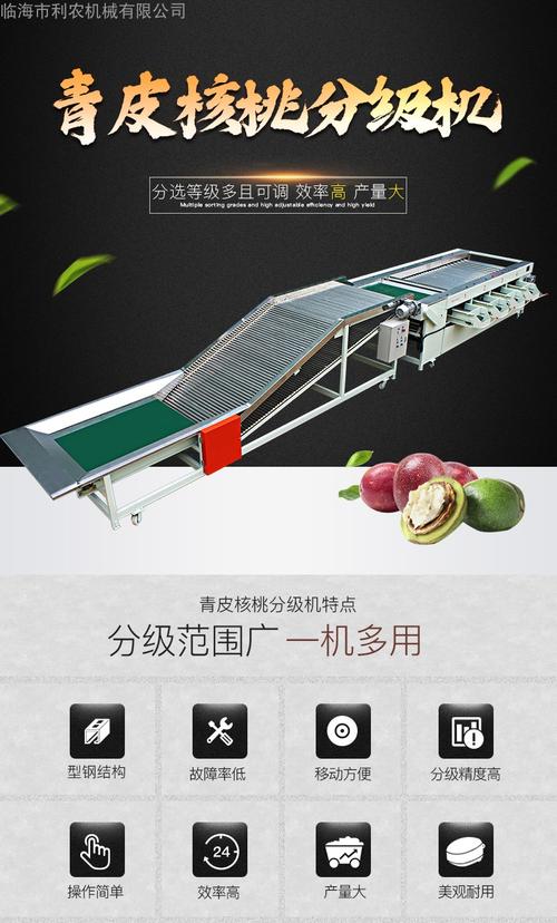水果 青皮核桃分级机 分选机 筛选机 工厂直销 果蔬加工设备