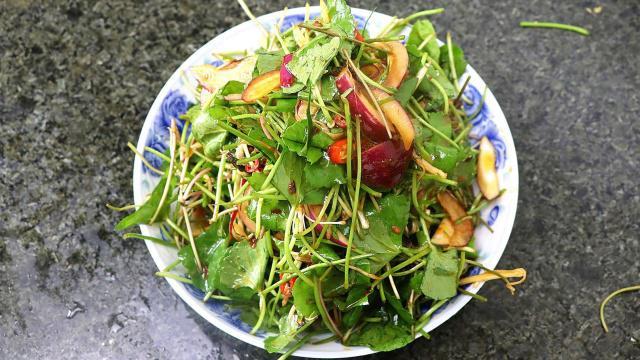 雷公根也能凉拌,你没吃过吧?夏天吃非常棒哦
