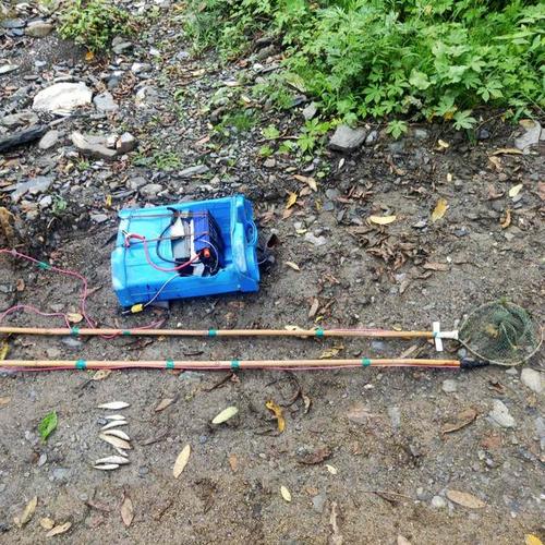 两河口两男子非法电鱼被略阳公安查获