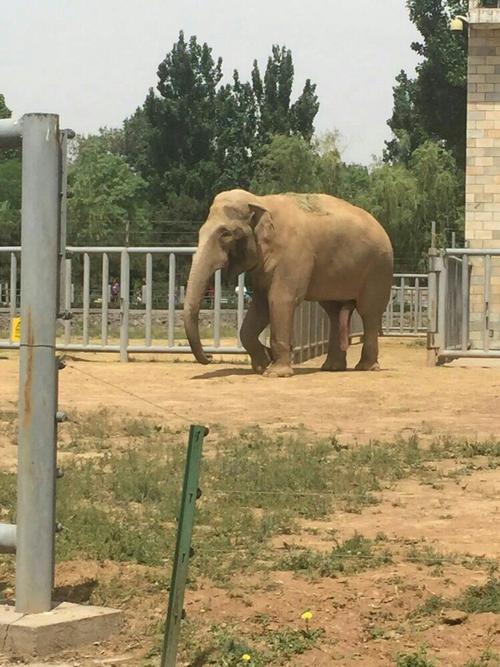 石家庄市动物园