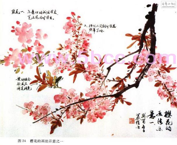中国书画函授现代远程教育:樱花画法