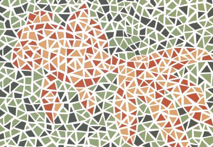 五张色盲图第5张看不到数字正常的看到数字才有问题