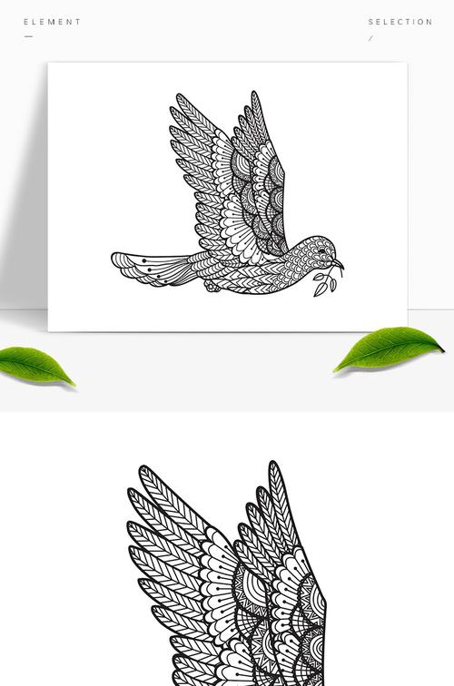 手绘鸽子背景线稿