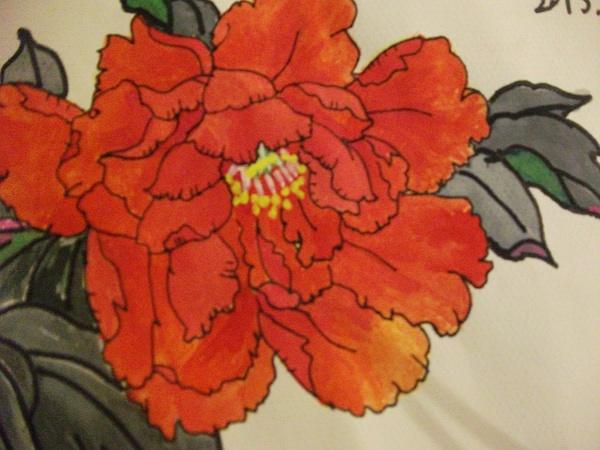 手绘】用水粉画中国工笔牡丹画