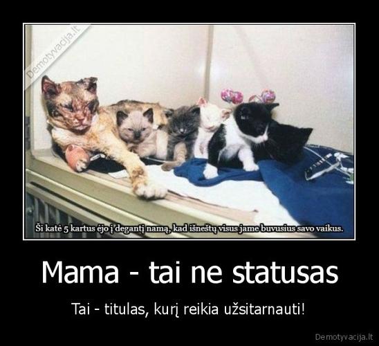 mama - tai ne statusas - tai - titulas, ku