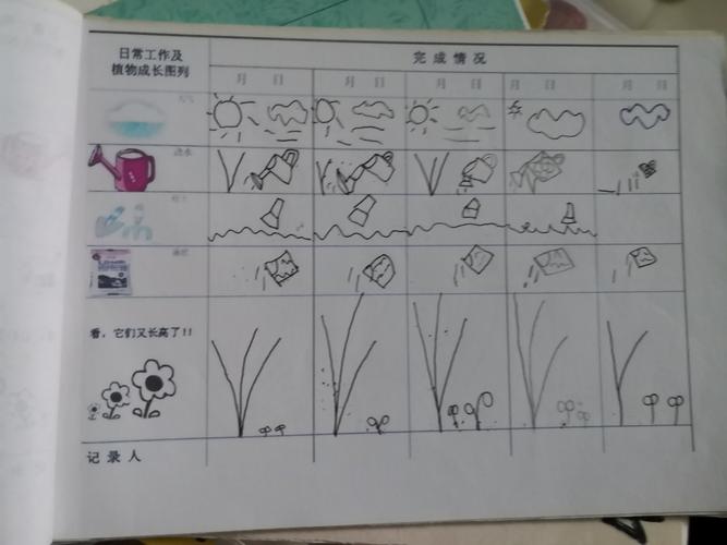 种植·绿满家园"记大一班植物观察记录活动 写美篇    植物角是幼儿与