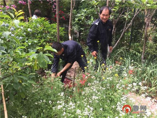 在宣传中,居民梁某发现自家种植的花朵与民警宣传册上的罂粟花图片较