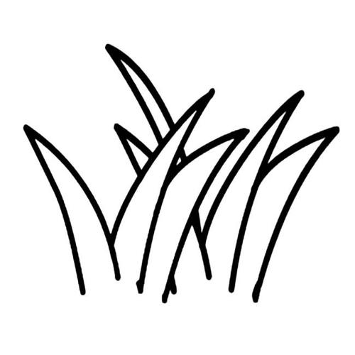 小草简笔画图片