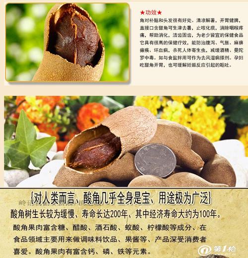 牛子的功效与作用及禁忌蒲公英的功效与作用及禁忌