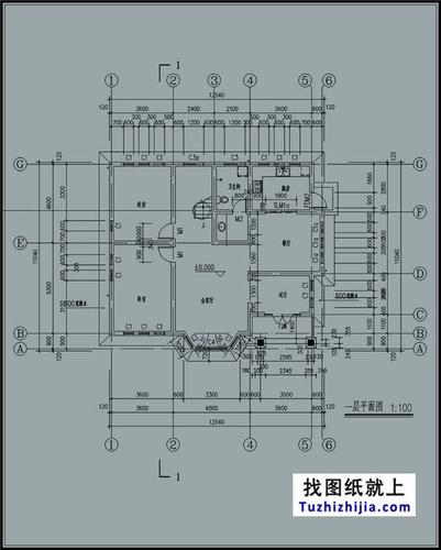 豪华欧式两层别墅cad设计图纸