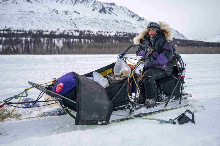 美国举行艾迪塔罗德狗拉雪橇比赛