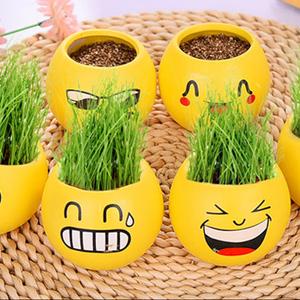 草头娃娃植物小盆栽 创意办公室桌面可爱qq表情diy迷你微景观摆件