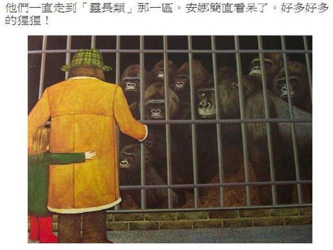 大猩猩绘本ppt