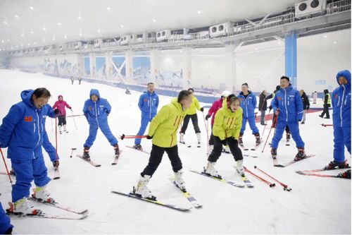 7亩,总建筑面积200,000㎡,包括室内极限运动中心,室内滑雪馆,国际风情