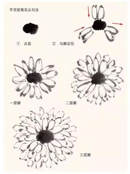 写意菊花画法清晰明了