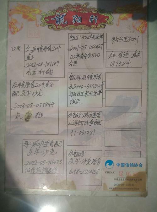 龙翔轩刘滨生(瓦特) 保证金级 拍卖