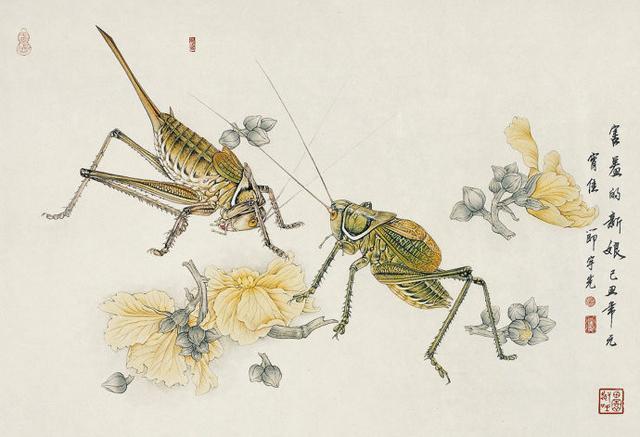 尤以工笔蝈蝈,孔雀,狮子等令藏家叹服和喜爱.