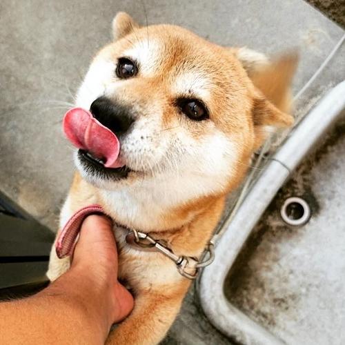 tomo的ins头像纪录贴(自拍啦 完结撒花)