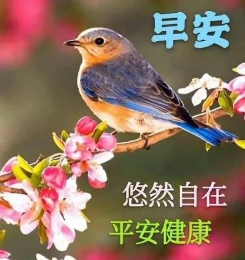 10月末全新早安祝福语简短群发最好看早上好图片大全动态表情2021天冷