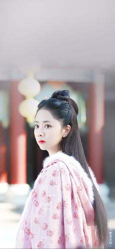 古装剧《锦衣之下》谭松韵饰演:袁今夏 手机壁纸