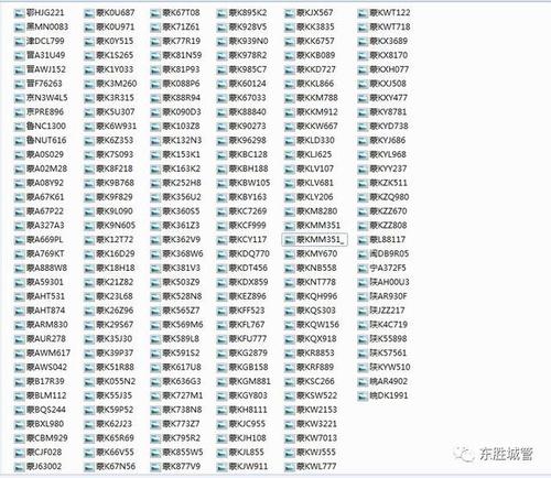 12月24日违章停放车辆车牌号