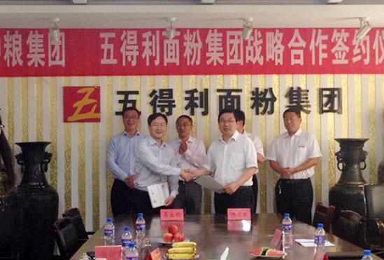 五得利面粉集团有限公司的公司战略