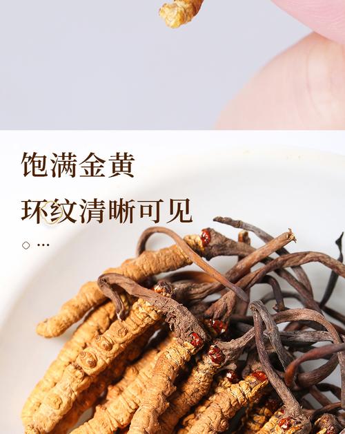 那曲虫草 虫草茶 冬虫夏草礼盒装礼盒自选与产品无关联