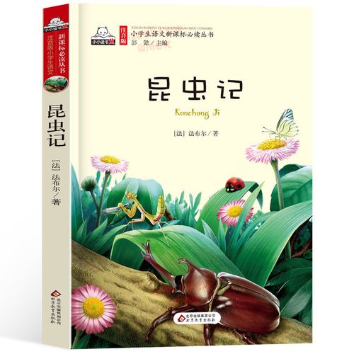昆虫彩图书系注音儿童文学课外书法布尔小学生