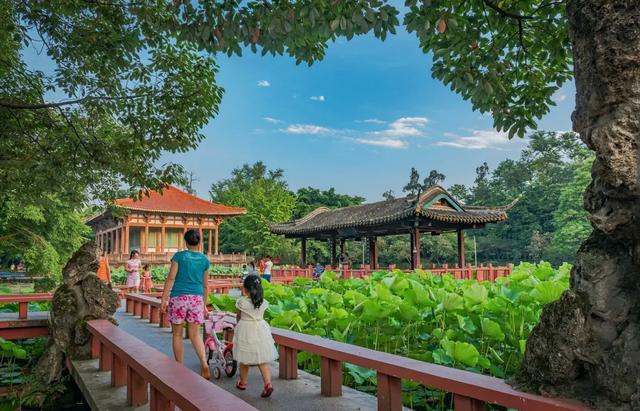 盘点郫都网红打卡地你最pick哪一个