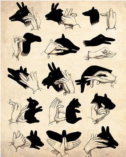 动物手影,搜一下就知道了.