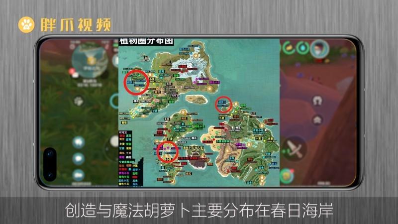 创造与魔法胡萝卜圈位置