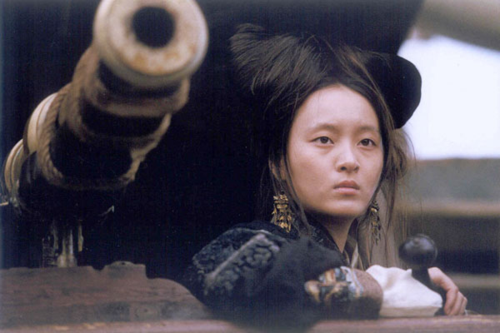 虽然1802年西山政权灭亡,但郑氏家族的海盗从中积累了大量经验,回到