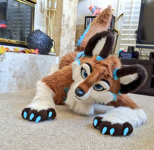 《狐系兽装》图集(二)