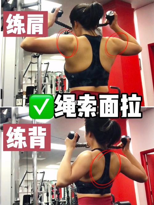 动作96_练背_霍巴特攻略_背部塑形_健身_背部训练_圆肩_肩后束_健身