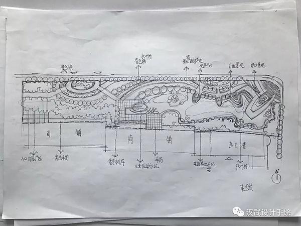 景观设计单体植物小品平面图线稿手绘