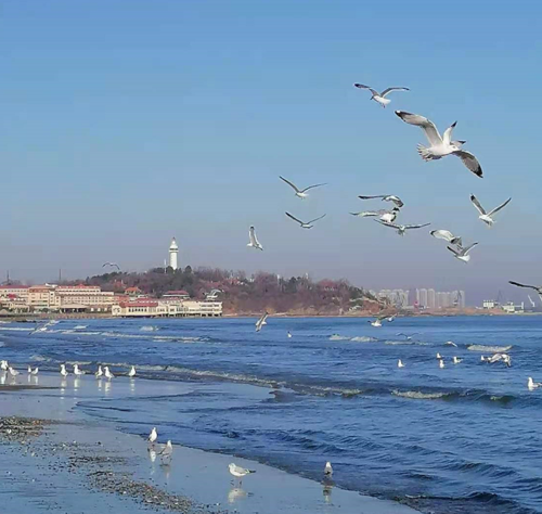 今年春节,留在烟台过年吧!一大批福利