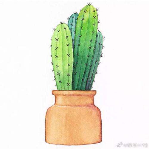 水彩简笔画|大家一起来画仙人掌吧