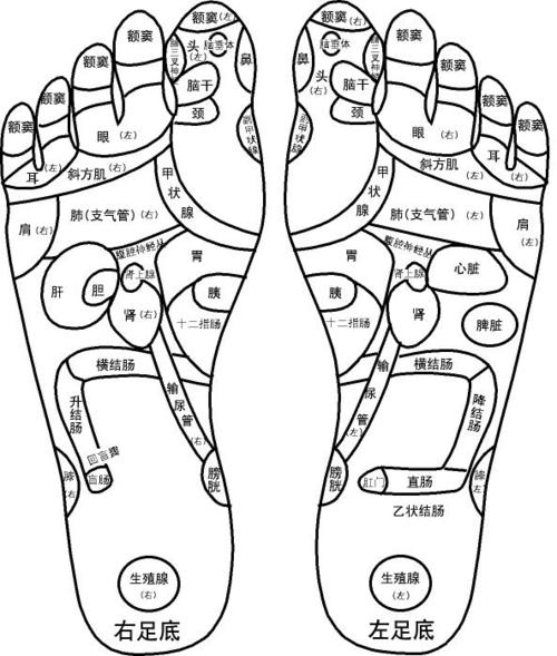 赵海峰的博客-人体全息图,健康按摩要学习一下!
