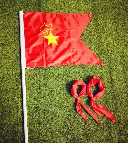 我和队旗合个影——东明县陆圈镇东裕州小学庆祝中国少年先锋队建队70