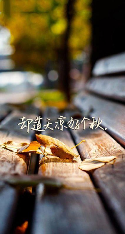 浪漫情话唯美句子大全风景皮肤 谁会爱上你的笑容