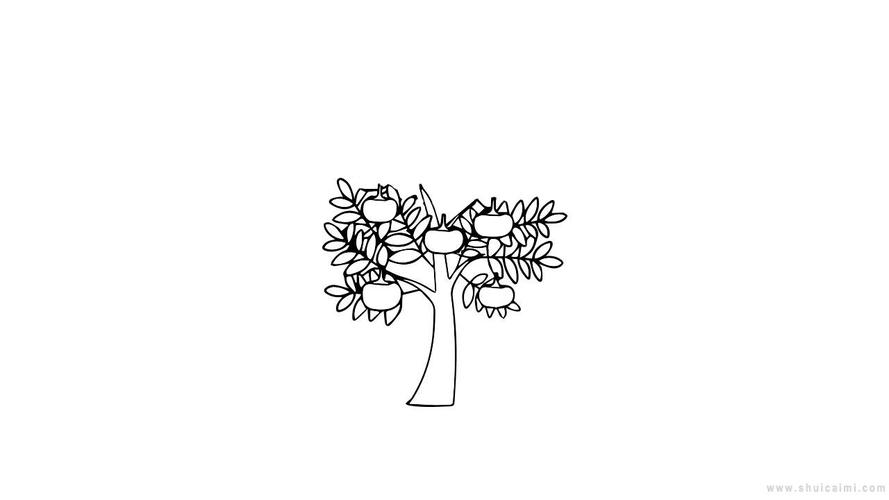 柿子树简笔画怎么画柿子树简笔画步骤