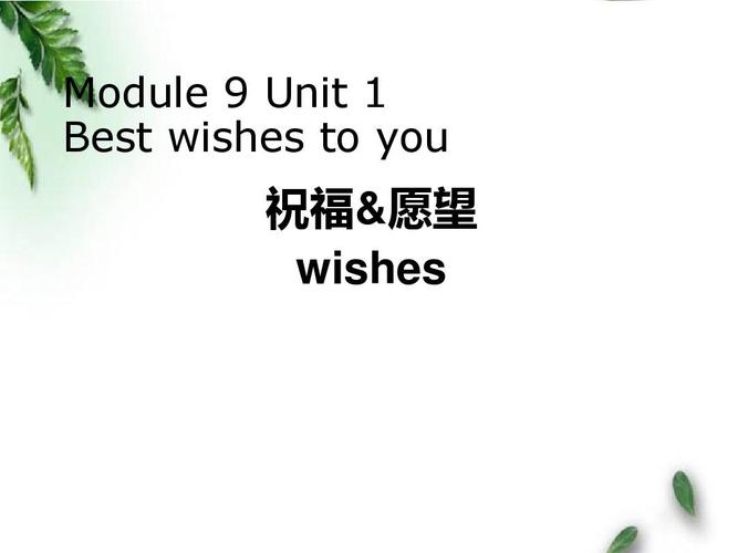 best wishes 的音标我要音标,不是问怎么查