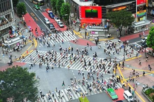 越长大越是繁忙