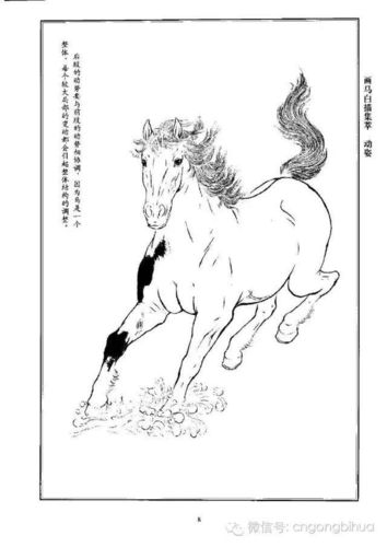 书画联盟丨画马白描集萃
