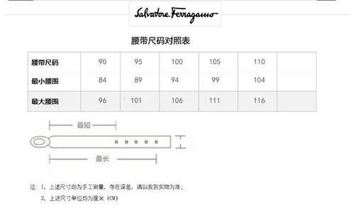 salvatore ferragamo 菲拉格慕 男士黑色棕色牛皮银色板扣双面腰带
