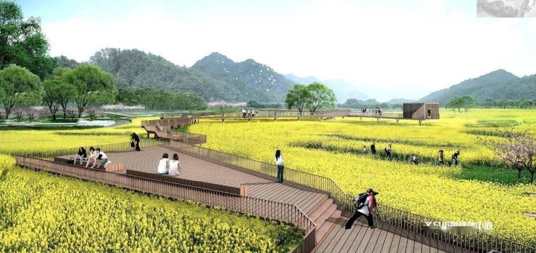 义乌植物园超美!春节前.