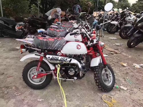 当年最后一批本田50cc小猴子,好几个版本 纪念版 熊本